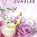 Emel Kurcan