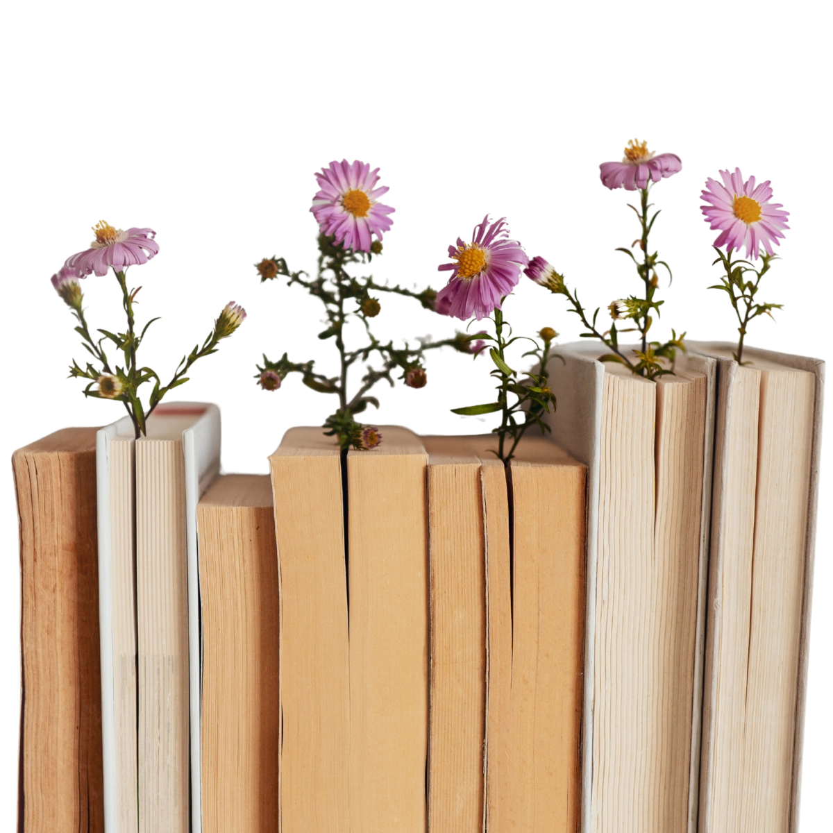 Islamische Bücher mit Pflanzen